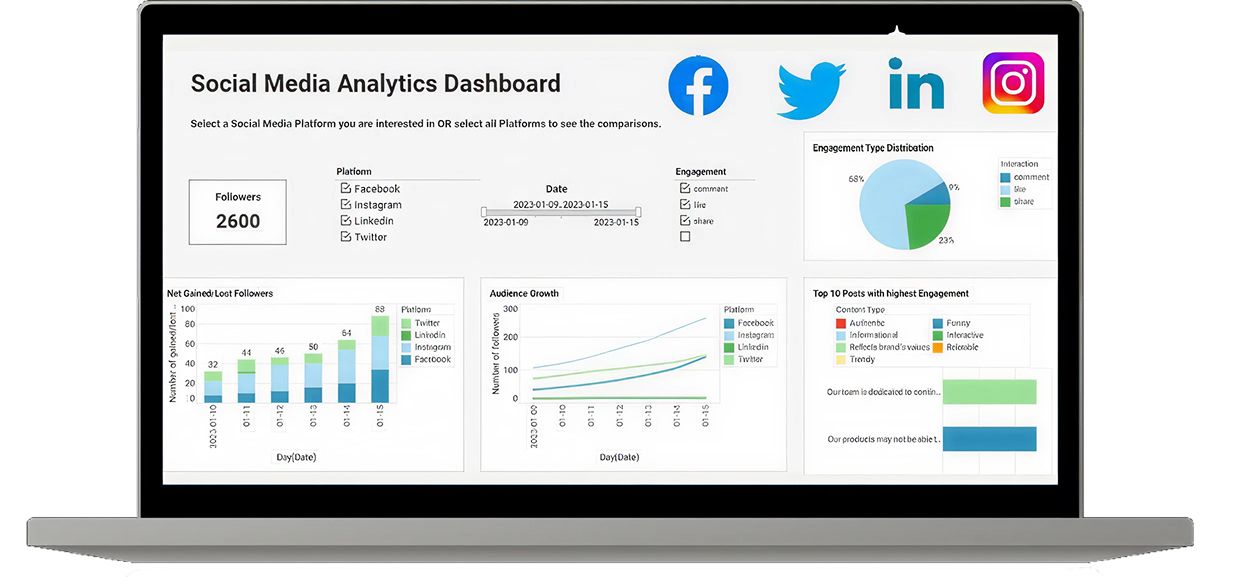 Social Media & Ad Campaigns